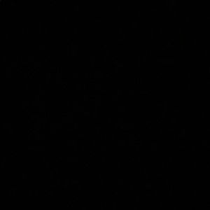 Meet your Posher, Carley